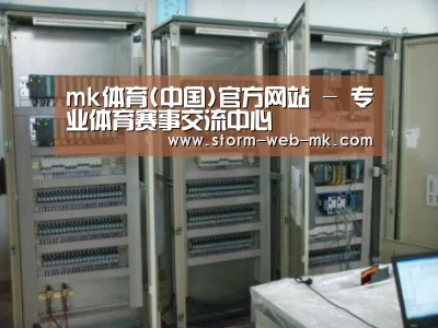 mk体育案例展示五