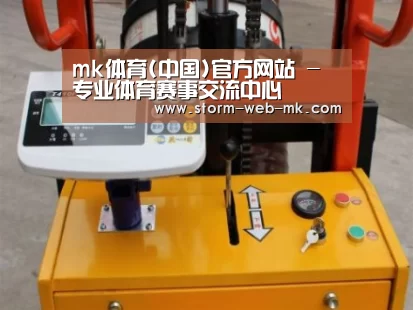 mk体育案例展示三