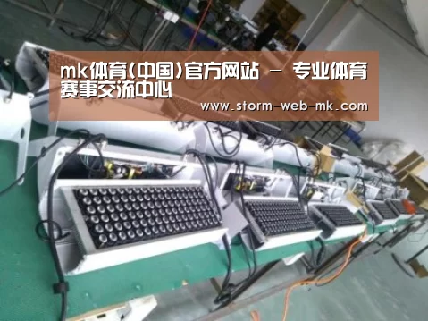 mk体育案例展示一