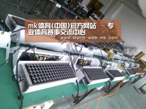 mk体育案例展示一(图1)