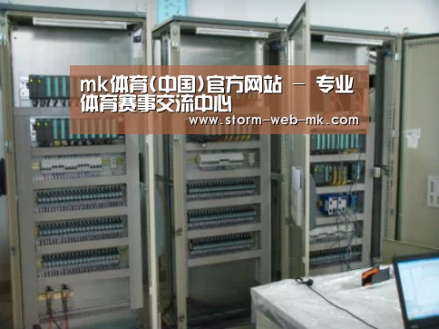 mk体育案例展示五(图1)