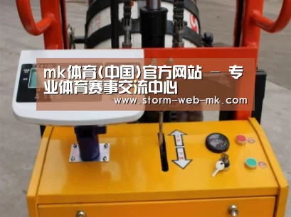mk体育案例展示三(图1)