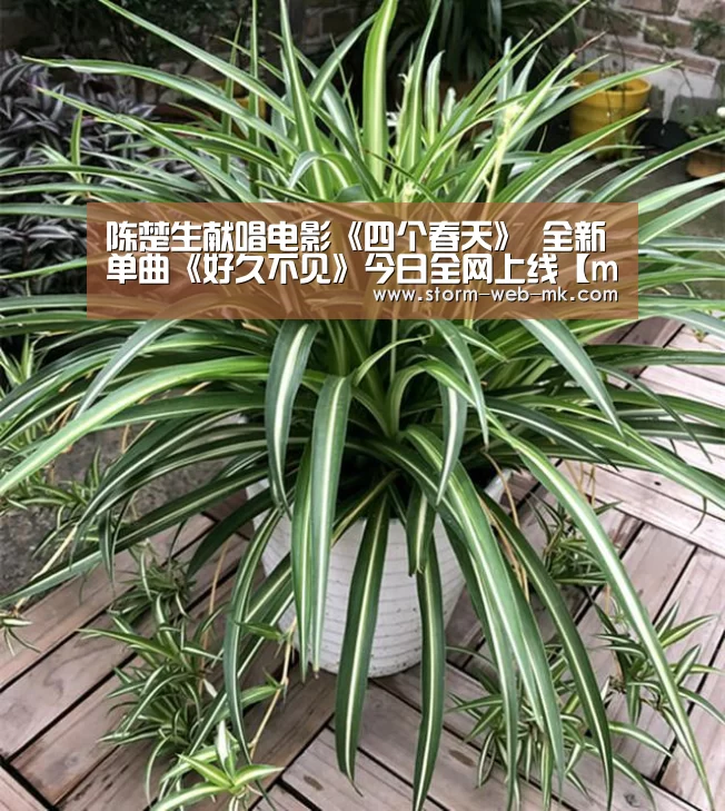 陈楚生献唱电影《四个春天》 全新单曲《好久不见》今日全网上线【mk体育官方】(图2) mk体育入口