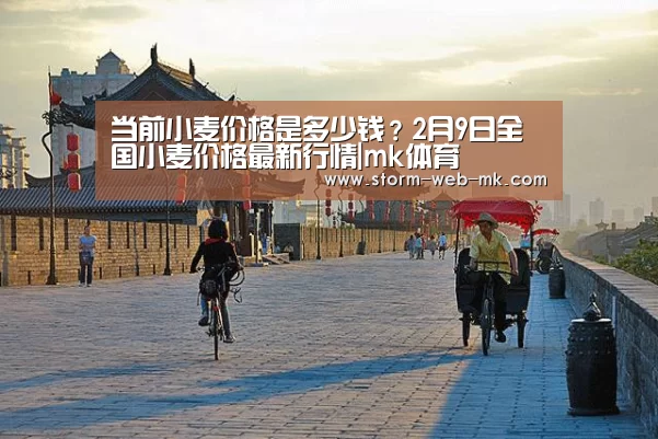 当前小麦价格是多少钱?2月9日全国小麦价格最新行情|mk体育(图1) mk体育