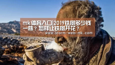 mk体育在线