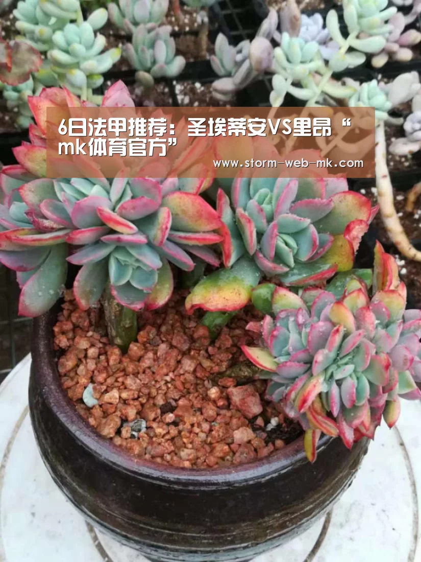 mk体育在线