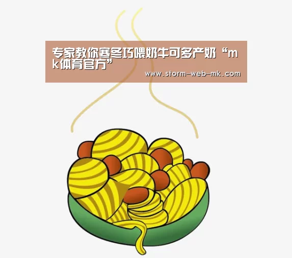 专家教你寒冬巧喂奶牛可多产奶“mk体育官方”(图1) mk体育在线