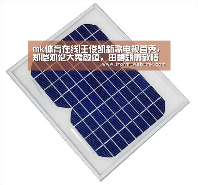 mk体育在线|王俊凯新歌电视首秀,郑恺邓伦大秀颜值,田馥甄萧敬腾情歌对唱?(图2) mk体育在线