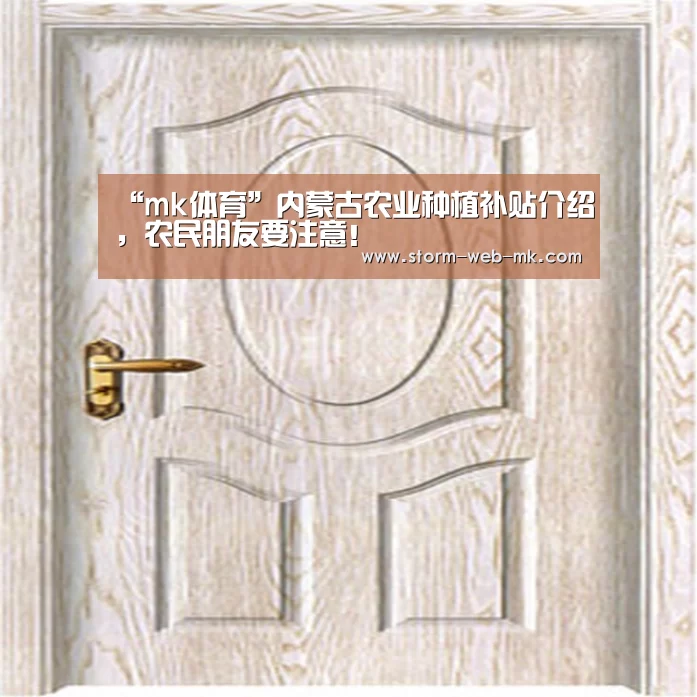 mk体育在线